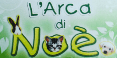 L'Arca di Noè